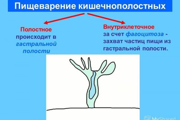 Кракен современный даркнет