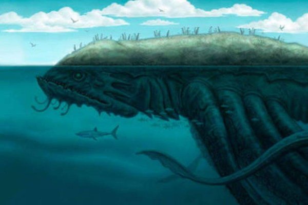 Kraken link