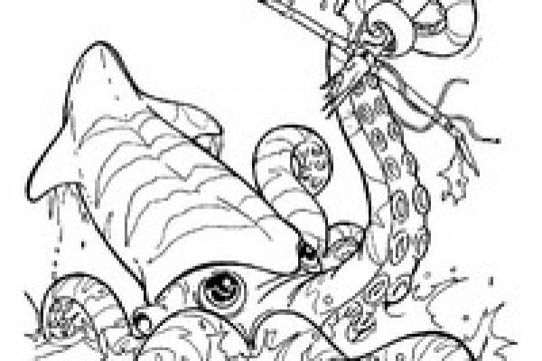Kraken 19at
